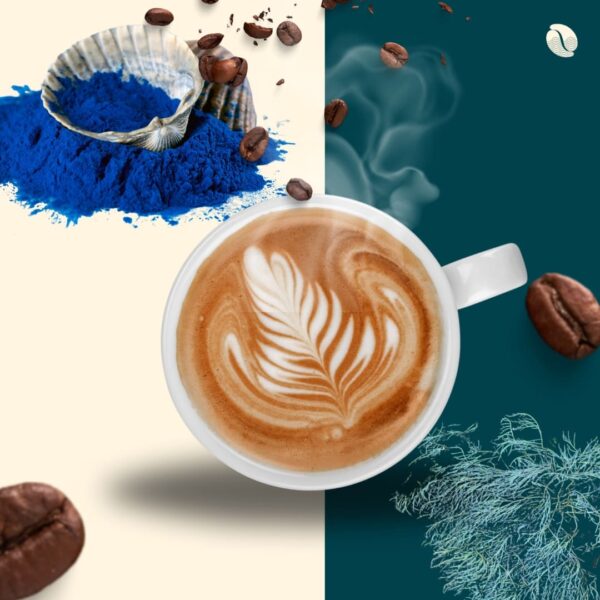 cafe-algues-bleues